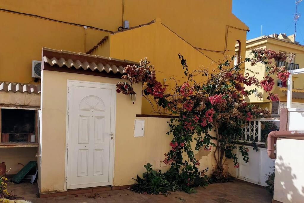 Apartament Mar Azul Adosado, Patio Y Solarium Torrevieja Zewnętrze zdjęcie